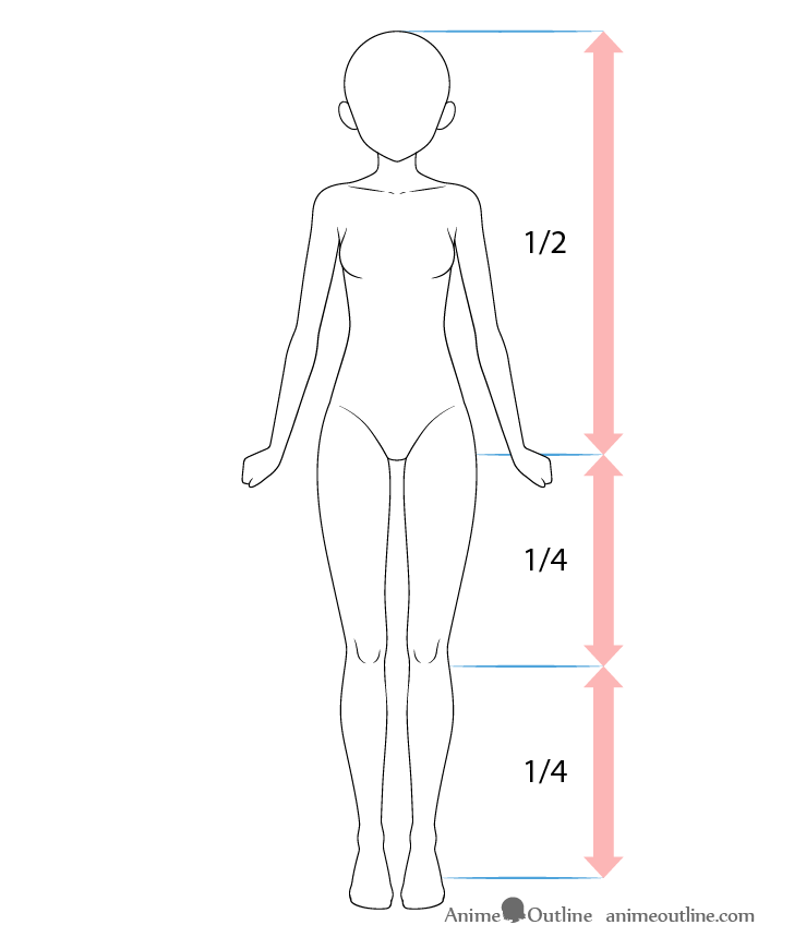 Anime girl body proportions drawing