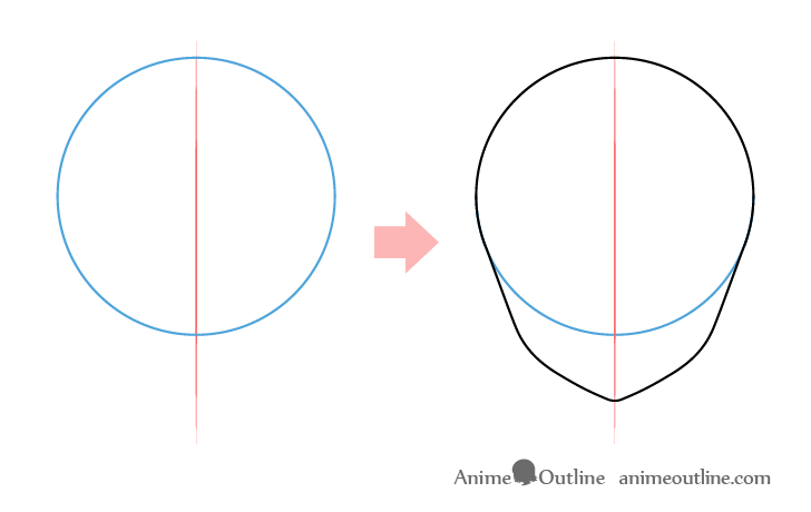 Anime girl head structure drawing