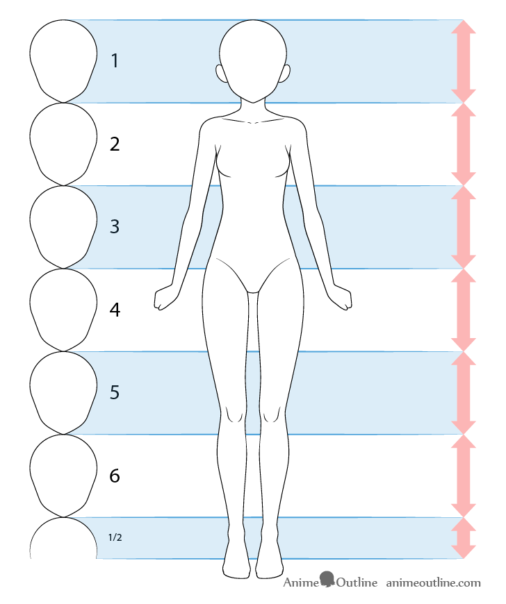 Anime girl height body proportions drawing
