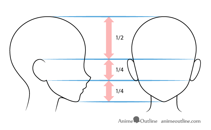 How to Draw Anime and Manga Ears  AnimeOutline