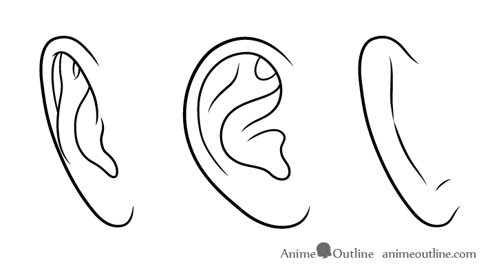 Drawing ears from different angles  Anime Art Magazine