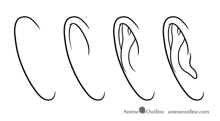 Ear drawing step by step front view