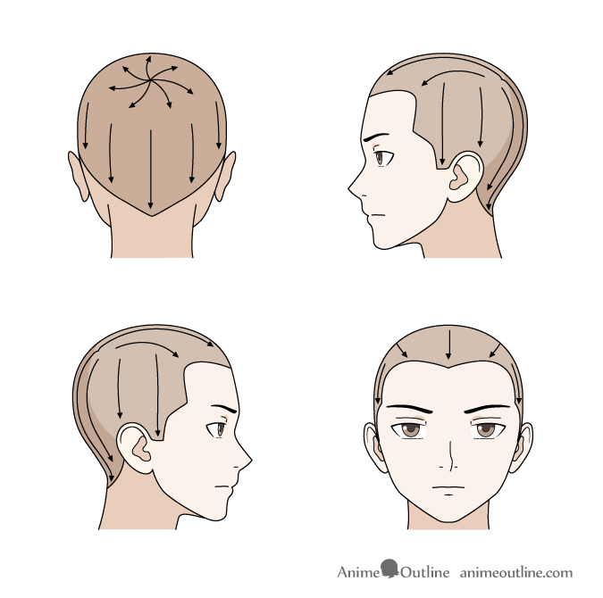 Hair growth directions drawing