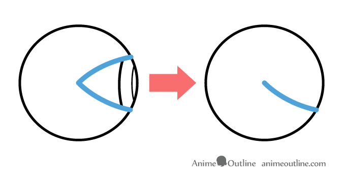 How the eyelids close illustration