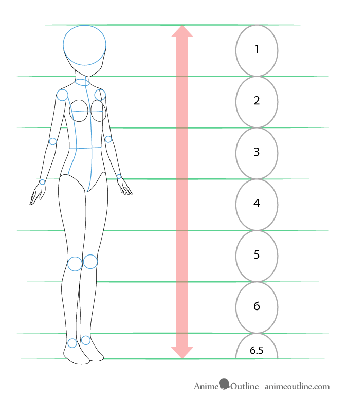 Tutorial How I Draw Female Body Types  Anime Art Amino