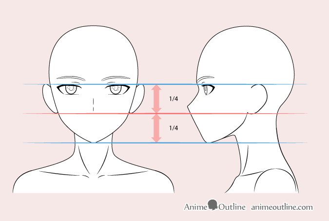 anime anatomy reference by Faezer on DeviantArt