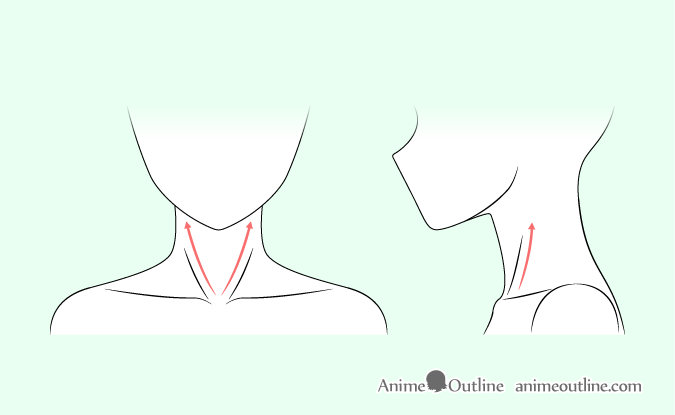 Anime neck muscles drawing