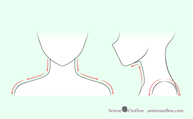 Anime neck & shoulders drawing