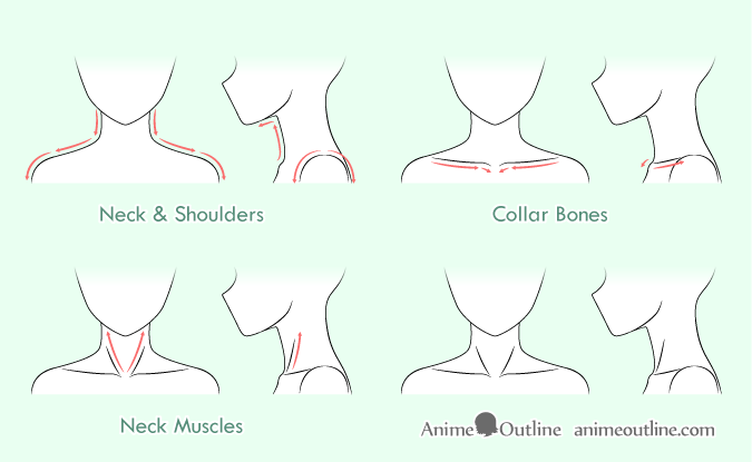 Featured image of post Collarbone Drawing Woman Your model will look more slender if you