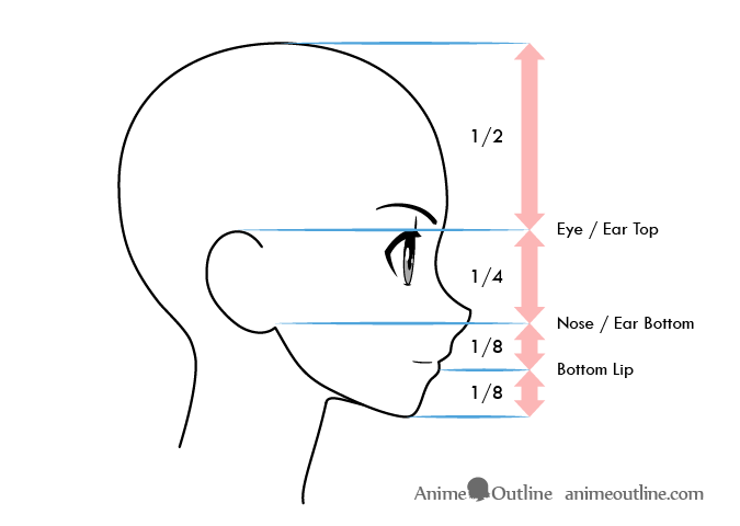 Anime face proportions side view