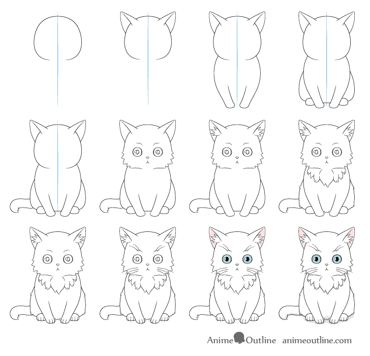 Anime cat drawing step by step