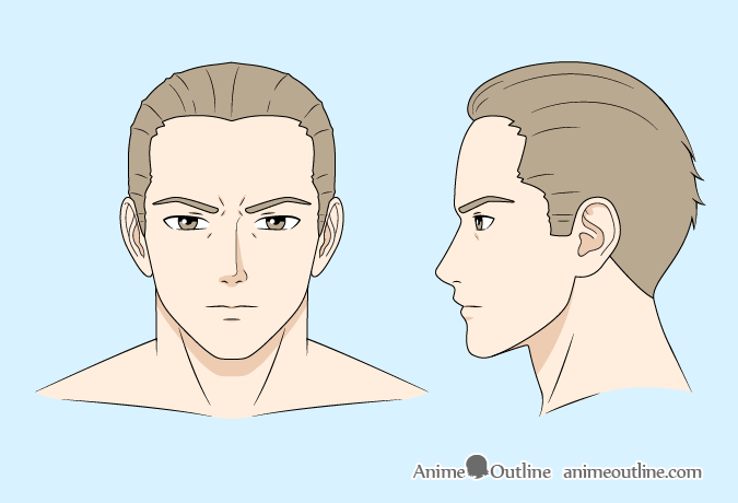 Differences Male  Female figures  I Draw Fashion