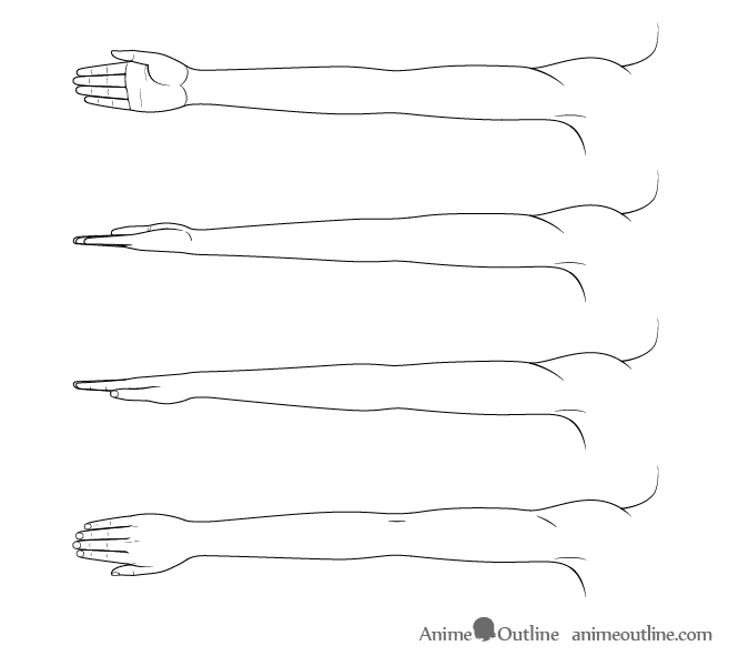 Anime arms with different twists drawing