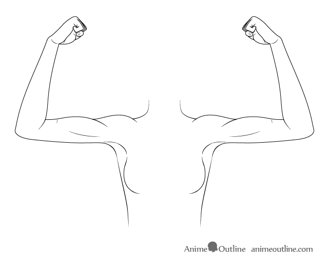 Featured image of post How To Draw Biceps Easy It s easy to make these comparisons if you are working from a photo reference that is already cropped to match