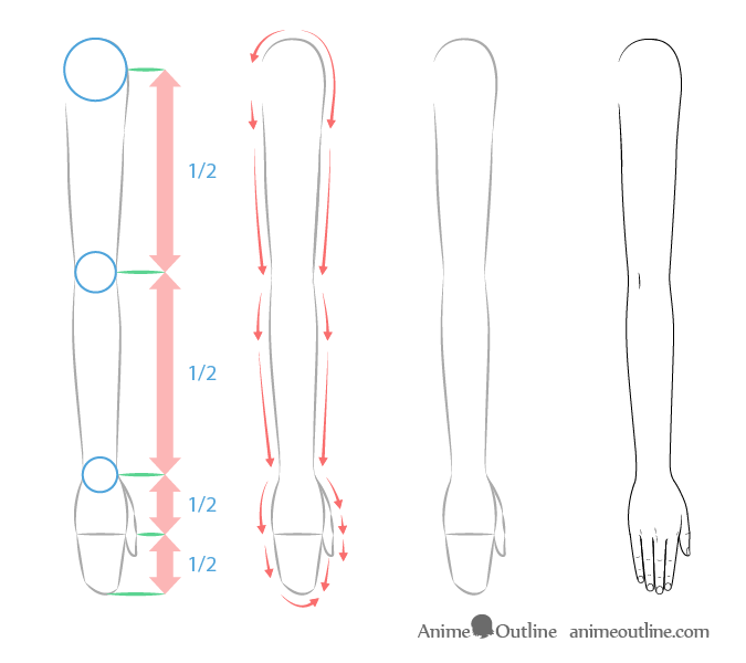 Anime arms proportions drawing