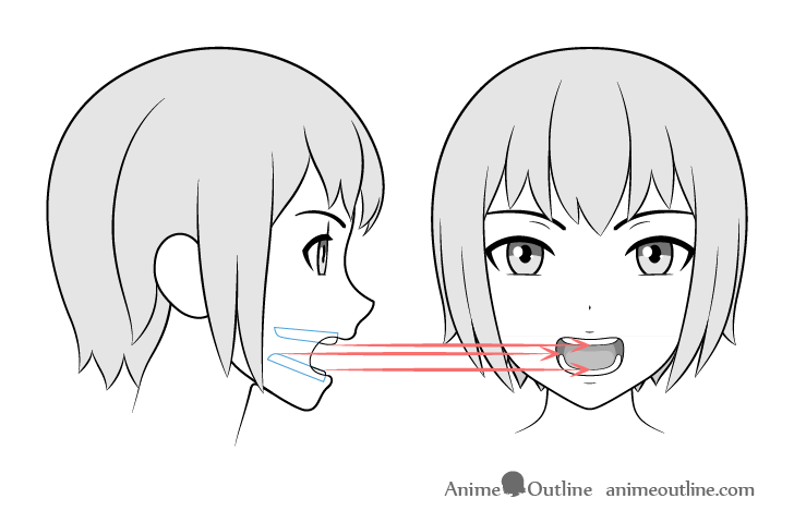 Teeth drawing different views
