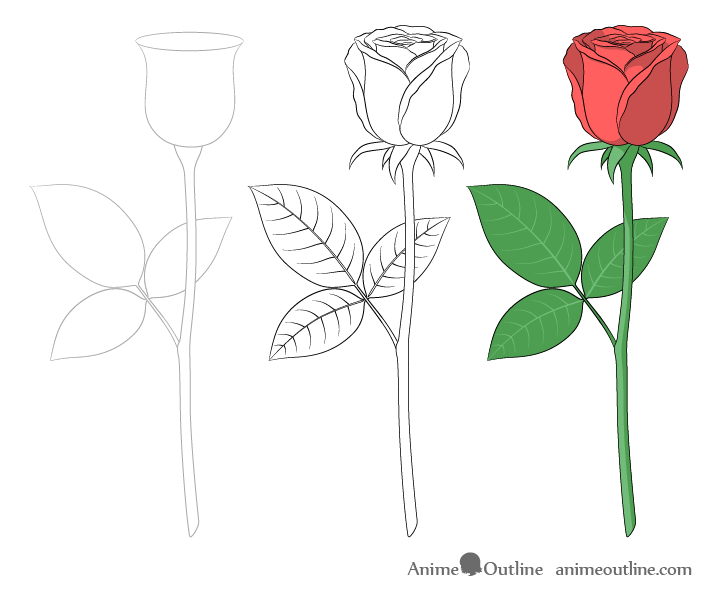 Full rose step by step drawing