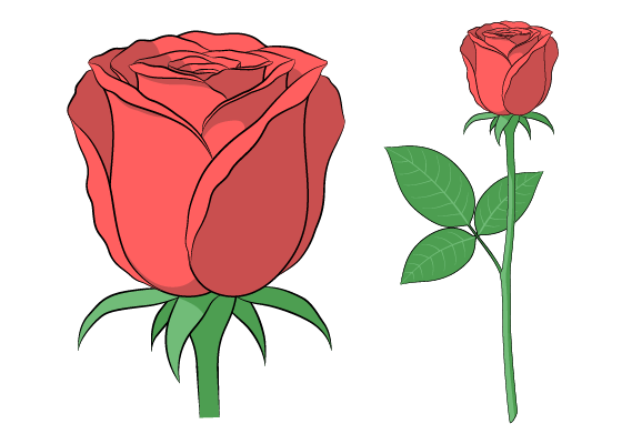 Anime rose drawing