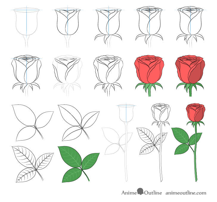 Rose drawing step by step