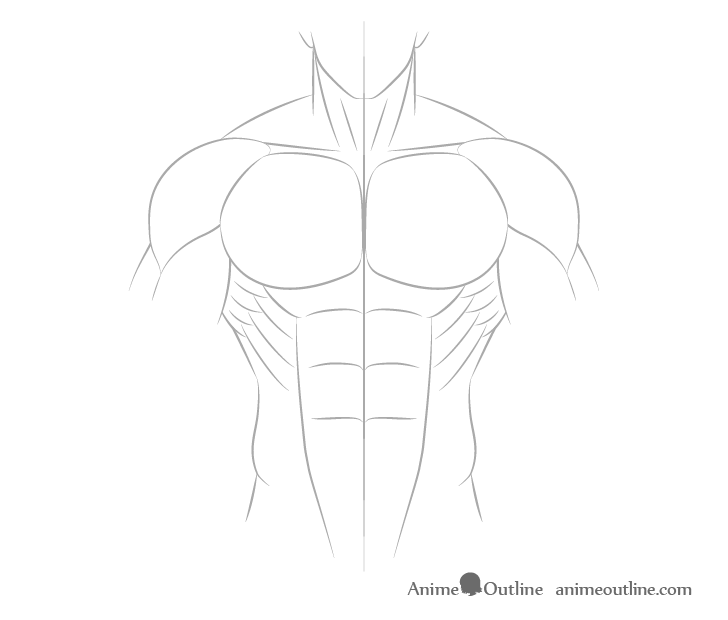 how to draw mans body anime｜Tìm kiếm TikTok