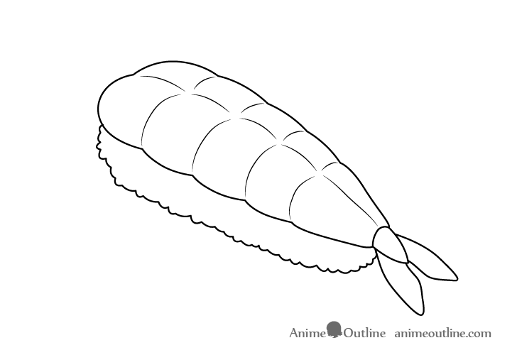 Sushi ebi nigiri details drawing 