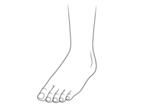 How to Draw Toes & Toenails on a Foot in 4 Steps