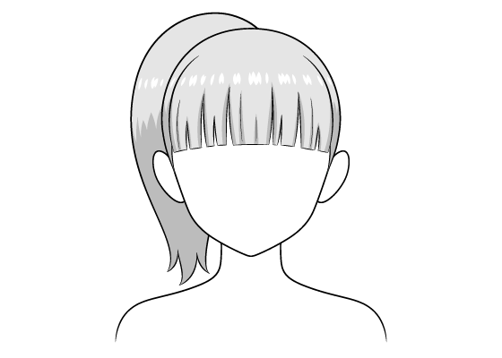 Anime ponytail