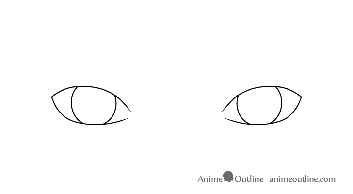 Big realistic eyes irises drawing