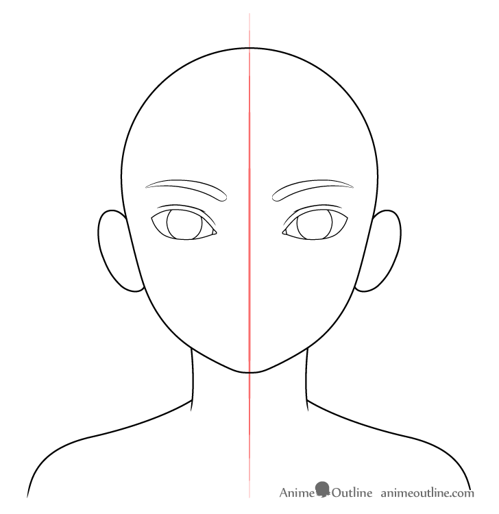 Female eyebrows on head drawing