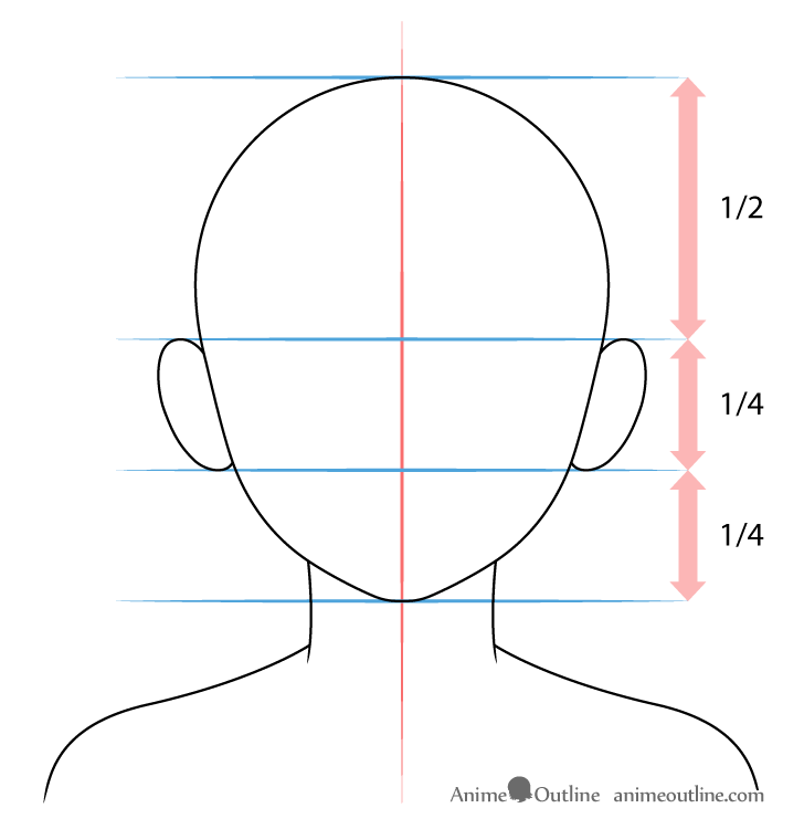 Female head ear proportions drawing